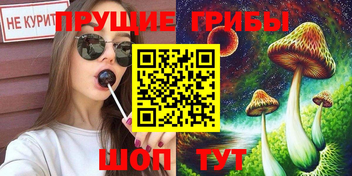 Ртищево  Псилоцибиновые грибы MAGIC MUSHROOMS  Вход с VPN 