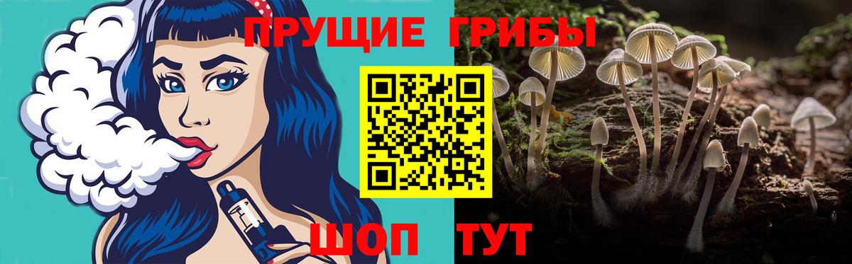 Псилоцибиновые грибы прущие грибы Ртищево