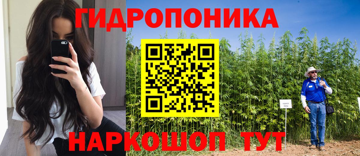 Шишки марихуана сатива Ртищево